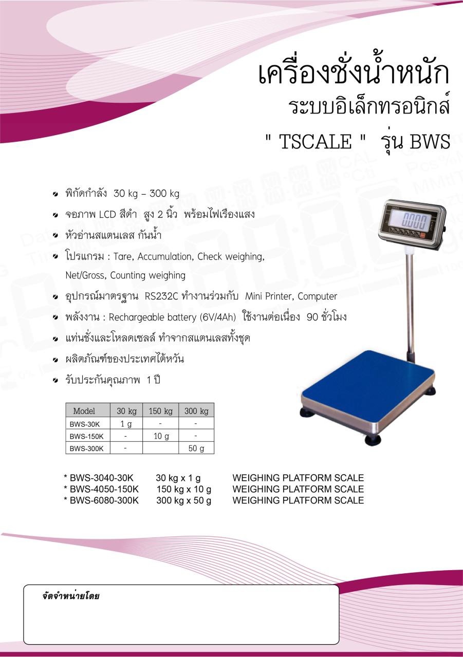 เครื่องชั่งรถบรรทุก