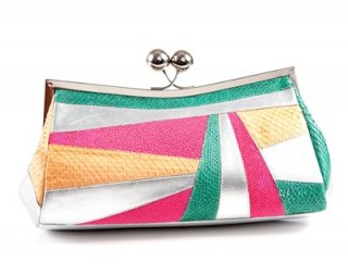 Multi Colors Clutch Bag