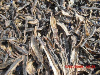 Dried Thai Earthworms