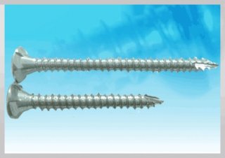 Long Length Wood Screw