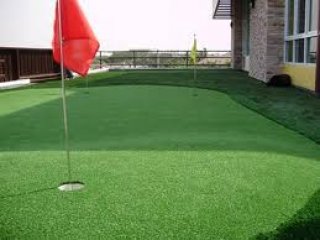 Turf for Putting Green