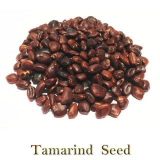 Tamarind seeds Thailand