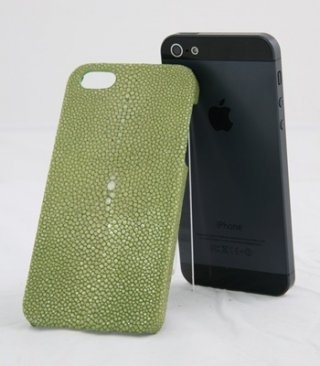 Stingray Light Green Case