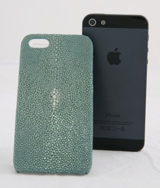 Stingray Green Case