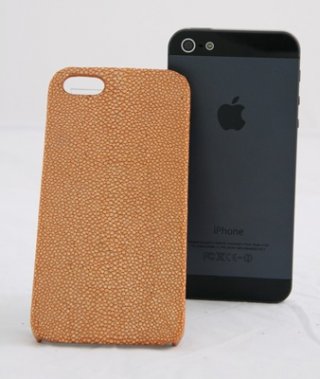 Stingray Orange Case