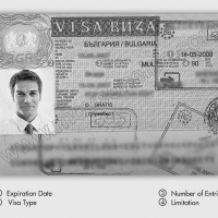 Visa Work Permit