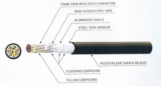 สายโทรศัพท์ ASP-FSF