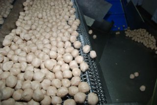 Meat Ball Wholesale