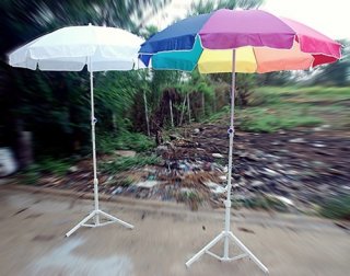 Beach umbrella