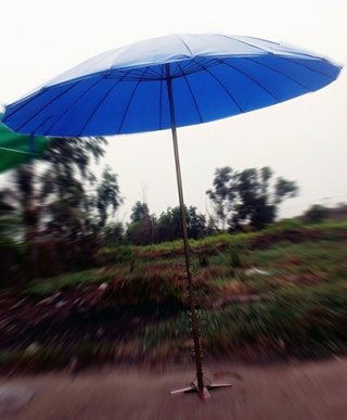 Patio umbrellas