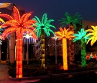 Coconut Tree Lights