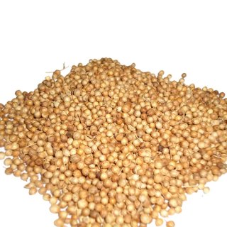 Coriander Seed