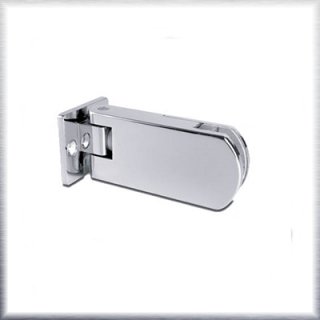 Shower Hinge