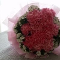 Pink Carnation