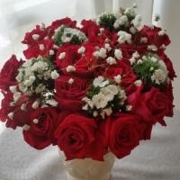 24 Red Roses