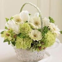 White Chrysanthemums