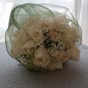 20 White Roses