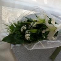 6 White Lilies