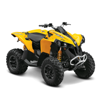 ATV Renegade