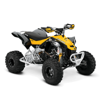 ATV DS 450 X xc