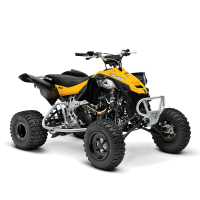 ATV DS 450 X mx