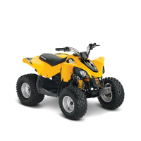 ATV DS