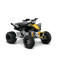 ATV DS X