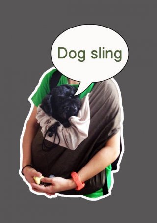 Bangkok dog sling