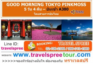 ทัวร์ญี่ปุ่น GOOD MORNING TOKYO PINKMOSS 5 วัน 4 คืน