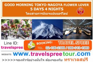 ทัวร์ญี่ปุ่น GOOD MORNING TOKYO-NAGOYA FLOWER LOVER 5 วัน 4 คืน