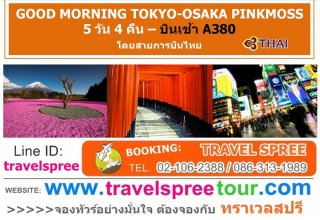 ทัวร์ญี่ปุ่น GOOD MORNING TOKYO-OSAKA PINKMOSS 5 วัน 4 คืน