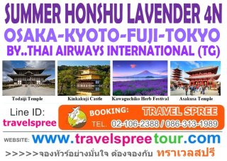 ทัวร์ญี่ปุ่น โอซาก้า โตเกียว SUMMER HONSHU (LAVENDER) 4 คืน