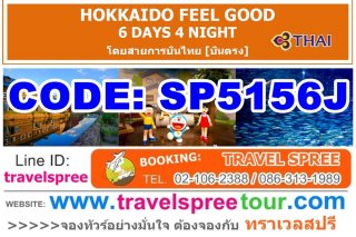 ทัวร์ฮอกไกโด HOKKAIDO FEEL GOOD 6 วัน 4 คืน