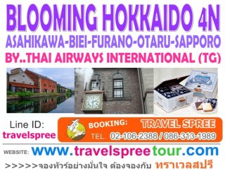 ทัวร์ฮอกไกโด BLOOMING HOKKAIDO (OBONG) 4 คืน