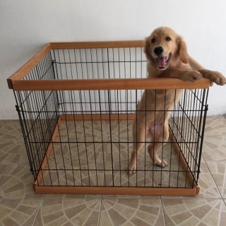 Dog Pen