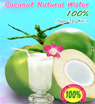 Coconut Natural Water 100% without pulp 520ml