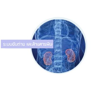 รับผลิตอาหารเสริมระบบขับถ่ายและล้างสารพิษ