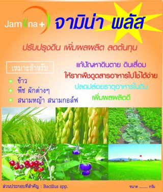 Jamina Plus for Paddy Fields