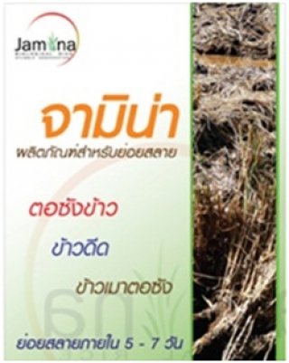 Jamina for Rice Straw Decomposition