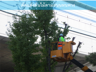 ให้เช่ารถเฮี๊ยบตัดแต่งต้นไม้ตามถนน