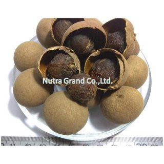 Dried Longan Grade with peel (3A) Item no: DHLOP1