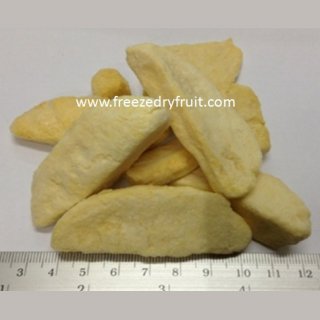 Freeze Dry Mango Item no: FD102