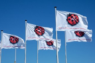 Company Flags