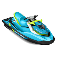 SEA-DOO GTI SE 155