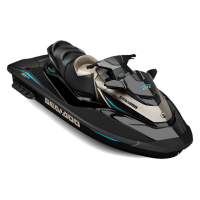 SEA-DOO GTX 155