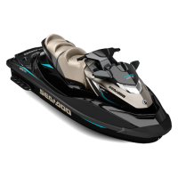 SEA-DOO GTX LIMITED IS 260