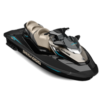 SEA-DOO GTX LIMITED 300