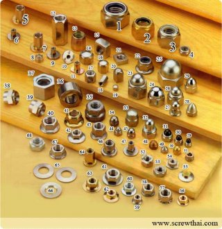 หัวน็อตสแตนเลส (Stainless Steel Nuts)