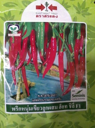 พริกหนุ่มพังงา