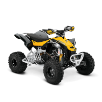 ATV YOUTH DS 450 X xc